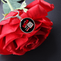 Scan and Dance Necklace-Free salsa class included